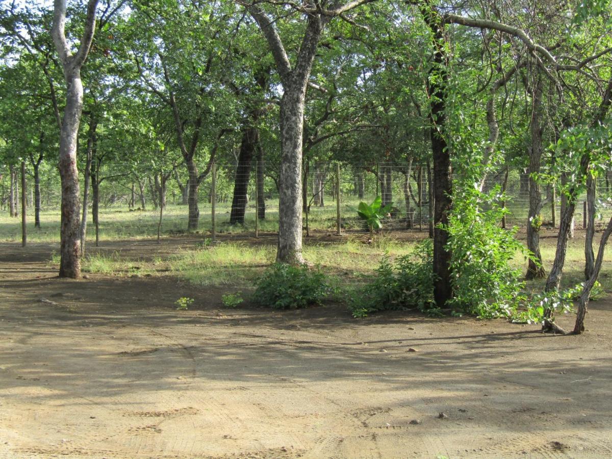 Pafuri Gate Guesthouse Mabalingwe Game Reserve Zewnętrze zdjęcie